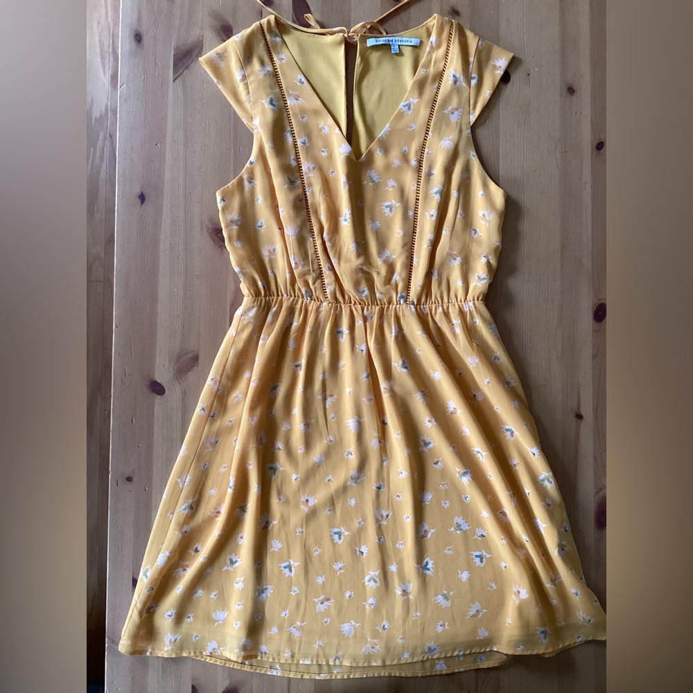 COLLECTIVE CONCEPTS Floral Sun Dress